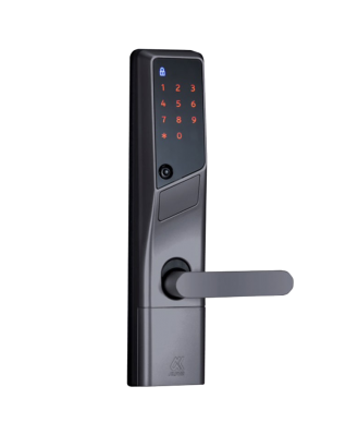 Alpha WS200 三合一智能電子門鎖