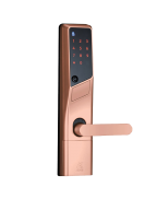 Alpha WS200 三合一智能電子門鎖