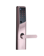 Alpha WS200 三合一智能電子門鎖