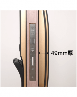 Yale Luna Pro+ 人臉辨識智能電子門鎖